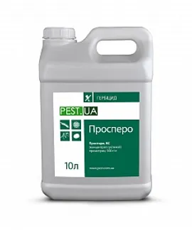 Продажа  Просперо, КС, 10 літрів